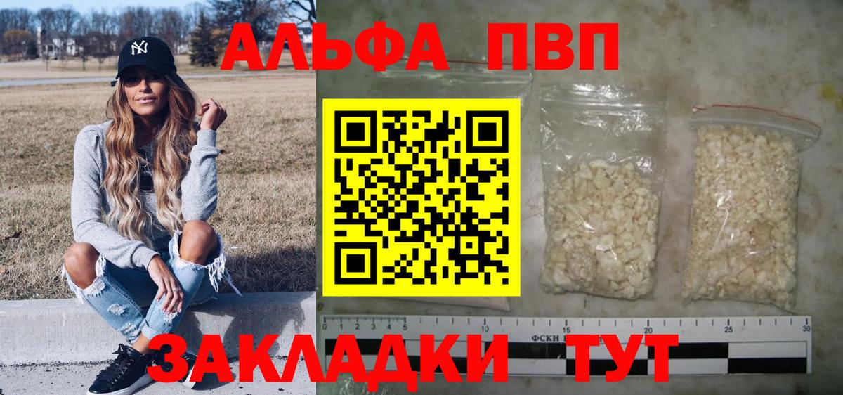 Альфа ПВП СК КРИС Аргун