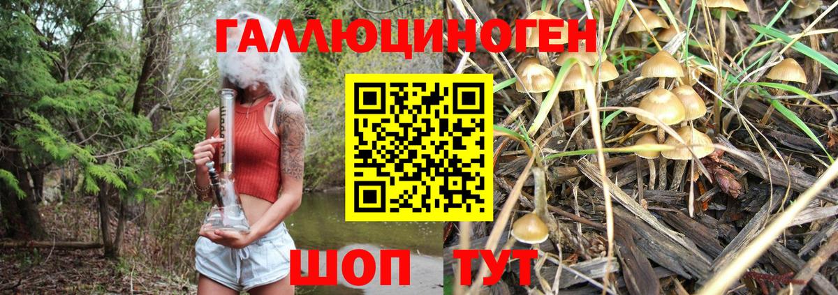 Галлюциногенные грибы Psilocybe  Галлюциногенные грибы Cubensis  сколько стоит  Вход с VPN  Аргун 