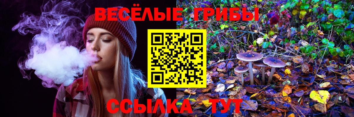 Галлюциногенные грибы MAGIC MUSHROOMS Аргун
