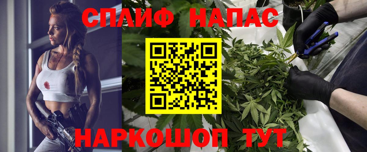 Шишки марихуана планчик  Вход с VPN  Канабис Bruce Banner  Аргун  Канабис марихуана 